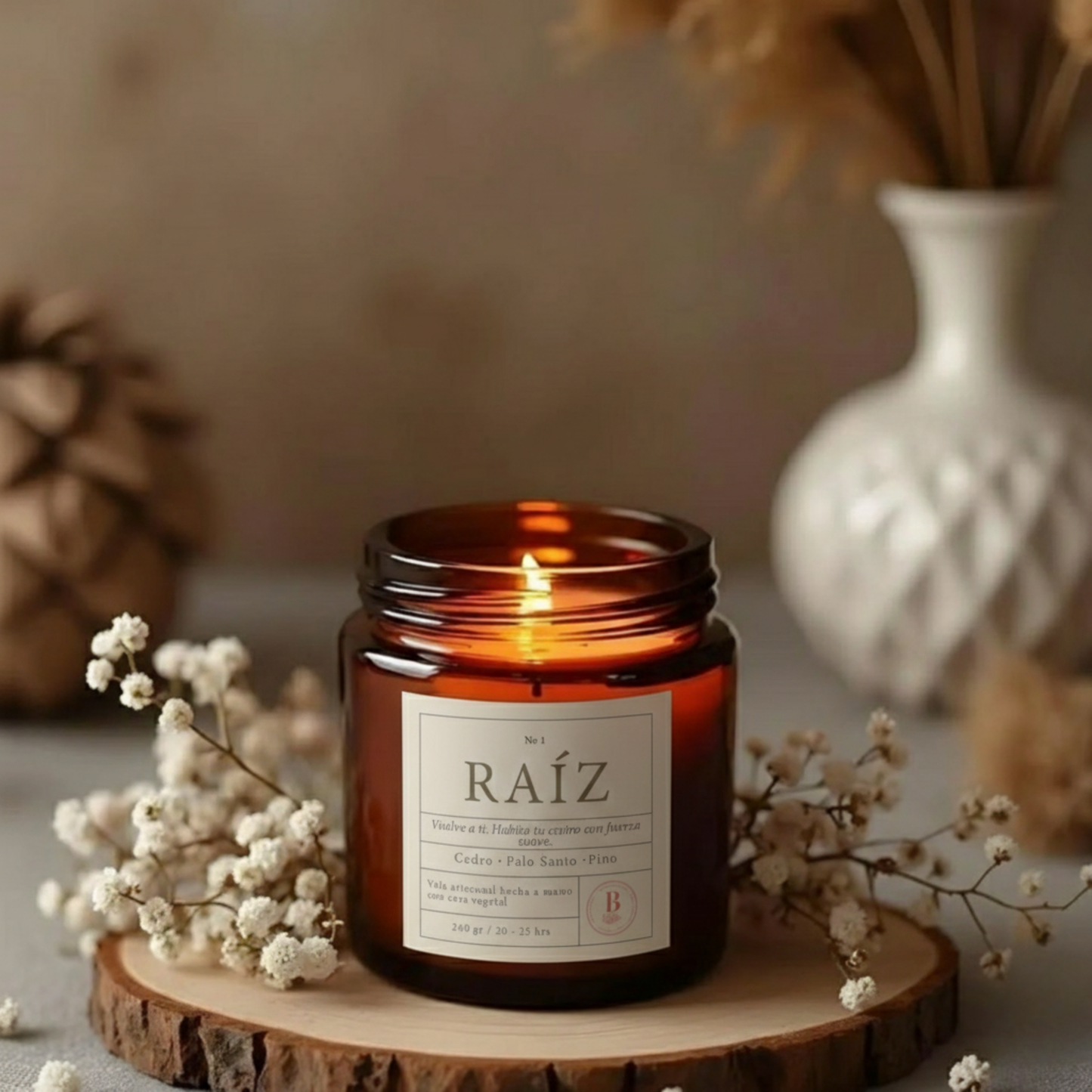 Vela Raíz